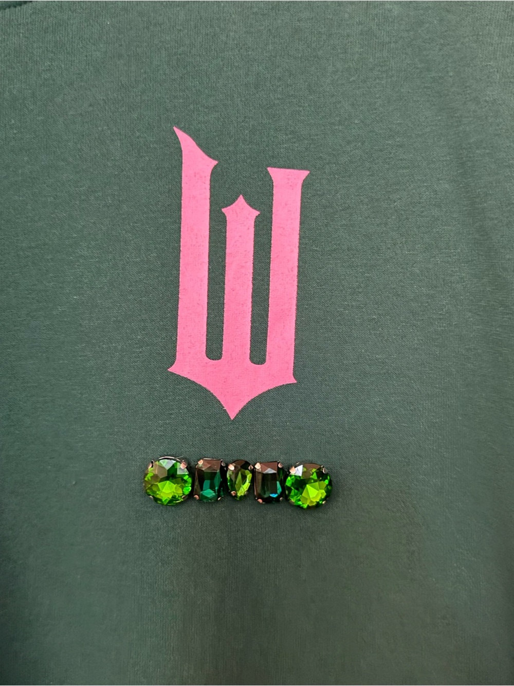 Wicked Emerald Crewneck Sweatshirt with Pink Crest - Picture 4 of 6